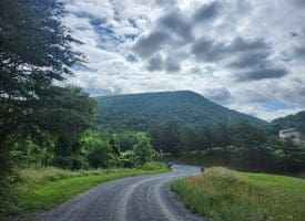 5 ACRES – LOT 18 SUGAR RUN LN, ROMNEY, WV