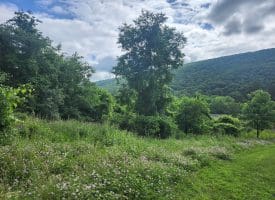 5 ACRES – LOT 18 SUGAR RUN LN, ROMNEY, WV