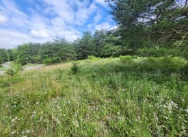 5 ACRES – LOT 18 SUGAR RUN LN, ROMNEY, WV