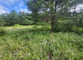 5 ACRES – LOT 18 SUGAR RUN LN, ROMNEY, WV