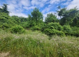 5 ACRES – LOT 18 SUGAR RUN LN, ROMNEY, WV