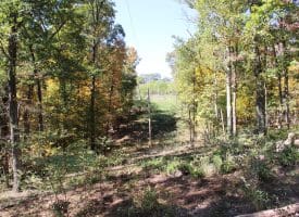 40.00 AC Shenandoah Mountain Rd, Mathias, WV 26812