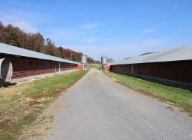 3749 State Road 259, Baker WV 26812