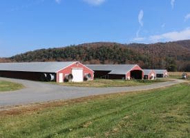 3749 State Road 259, Baker WV 26812