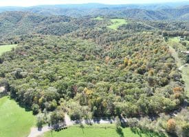 40.00 AC Shenandoah Mountain Rd, Mathias, WV 26812