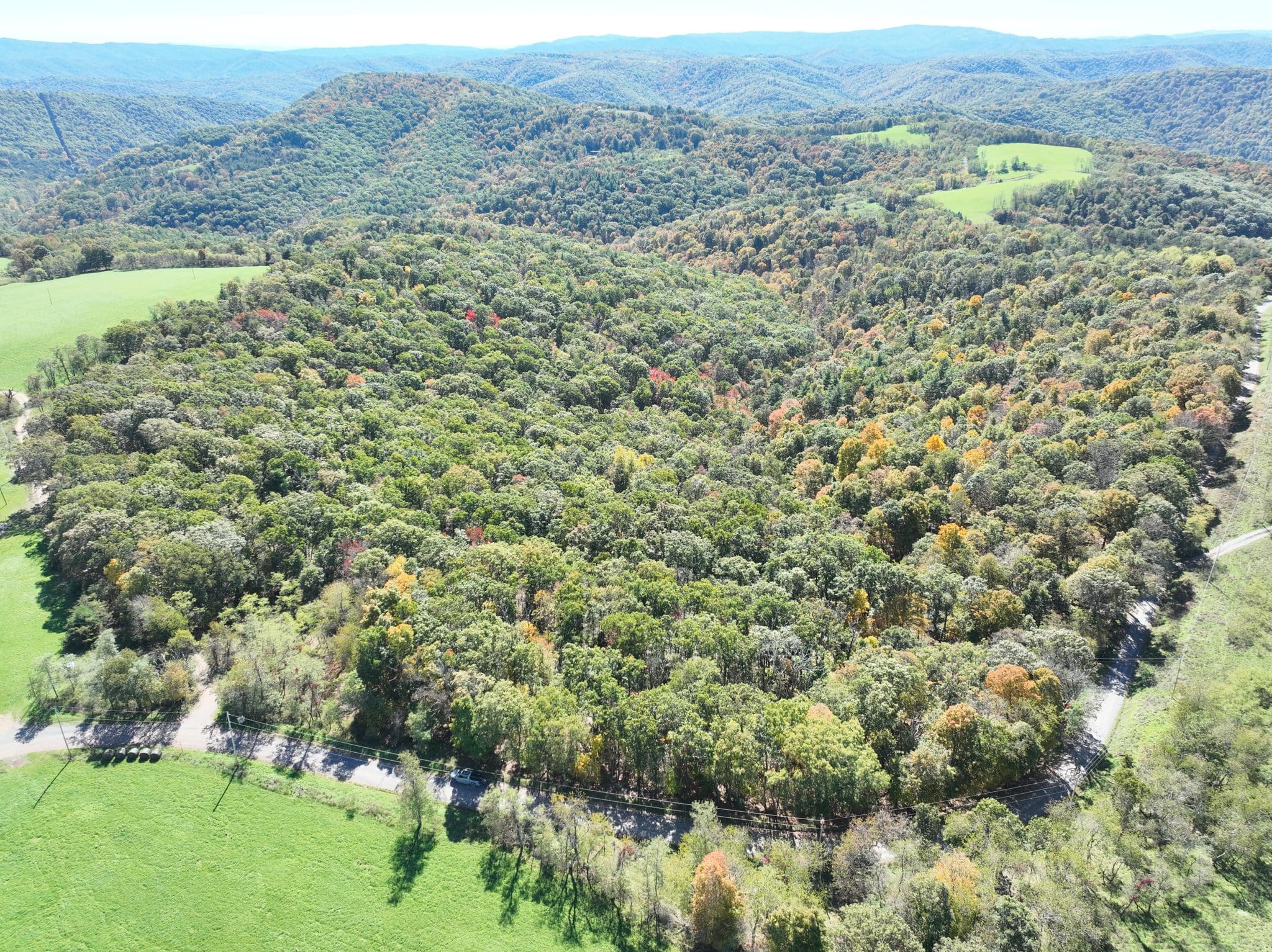 40.00 AC Shenandoah Mountain Rd, Mathias, WV 26812