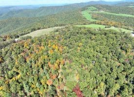 40.00 AC Shenandoah Mountain Rd, Mathias, WV 26812