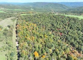 40.00 AC Shenandoah Mountain Rd, Mathias, WV 26812