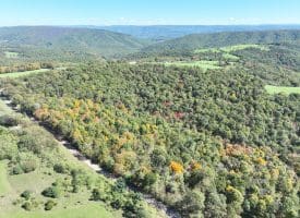 40.00 AC Shenandoah Mountain Rd, Mathias, WV 26812