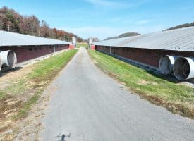 3749 State Road 259, Baker WV 26812