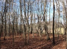 5 AC Ford Hill Rd