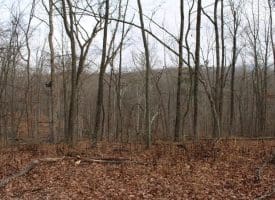 14.29 Acres Whispering Pines Road, Slanesville, WV 25444