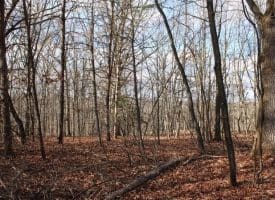 5 AC Ford Hill Rd