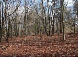 5 AC Ford Hill Rd