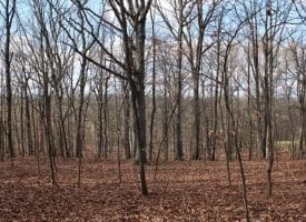 5 AC Ford Hill Rd