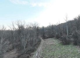 1008 Sandy Mountain Trail, Bloomery, WV 26817