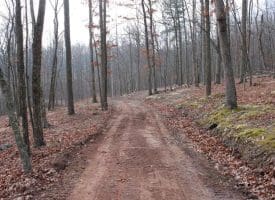 14.29 Acres Whispering Pines Road, Slanesville, WV 25444