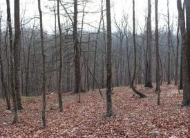 14.29 Acres Whispering Pines Road, Slanesville, WV 25444