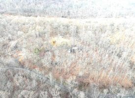 14.29 Acres Whispering Pines Road, Slanesville, WV 25444