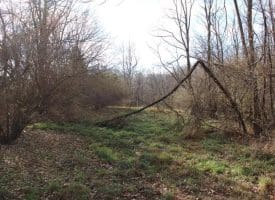 5 AC Ford Hill Rd