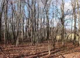 5 AC Ford Hill Rd