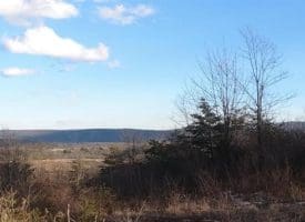 9.39 Ac Bloomery Pike, Augusta, WV 26704