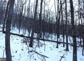 5.50 Ac Lake Ferndale Dr. Springfield, WV 26763