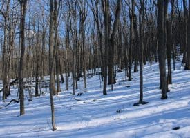 21.57 AC Lost River Glen, Rio, WV 26755