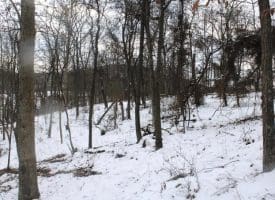 7.02 Ac Springfield Pike, Springfield, WV 26763