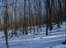 21.57 AC Lost River Glen, Rio, WV 26755