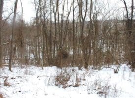 7.02 Ac Springfield Pike, Springfield, WV 26763