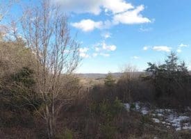 9.39 Ac Bloomery Pike, Augusta, WV 26704