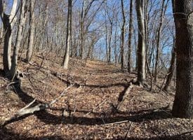 18.08 Ac Bear Ridge Rd, New Creek, WV 26743