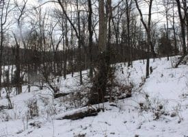 7.02 Ac Springfield Pike, Springfield, WV 26763