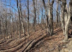 18.08 Ac Bear Ridge Rd, New Creek, WV 26743