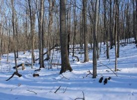 21.57 AC Lost River Glen, Rio, WV 26755