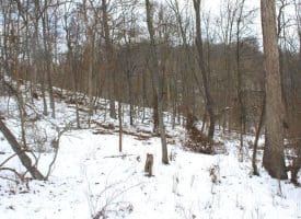 7.02 Ac Springfield Pike, Springfield, WV 26763