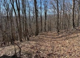 18.08 Ac Bear Ridge Rd, New Creek, WV 26743