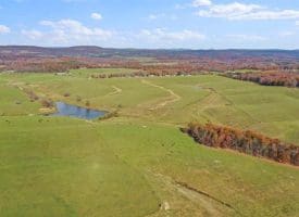 490.25 Ac Ford Hill Road, Augusta, WV 26704