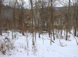 7.02 Ac Springfield Pike, Springfield, WV 26763