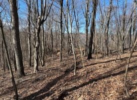 18.08 Ac Bear Ridge Rd, New Creek, WV 26743