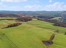 490.25 Ac Ford Hill Road, Augusta, WV 26704