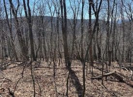 18.08 Ac Bear Ridge Rd, New Creek, WV 26743