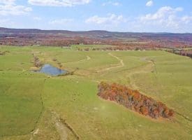 490.25 Ac Ford Hill Road, Augusta, WV 26704