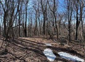 18.08 Ac Bear Ridge Rd, New Creek, WV 26743