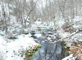 7.02 Ac Springfield Pike, Springfield, WV 26763