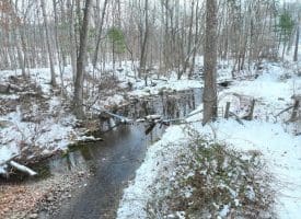 7.02 Ac Springfield Pike, Springfield, WV 26763