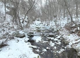 7.02 Ac Springfield Pike, Springfield, WV 26763