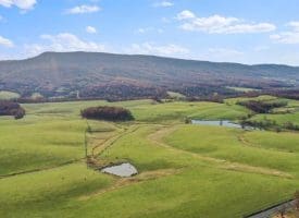 490.25 Ac Ford Hill Road, Augusta, WV 26704