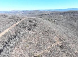 18.08 Ac Bear Ridge Rd, New Creek, WV 26743